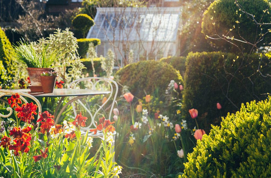 A City Garden