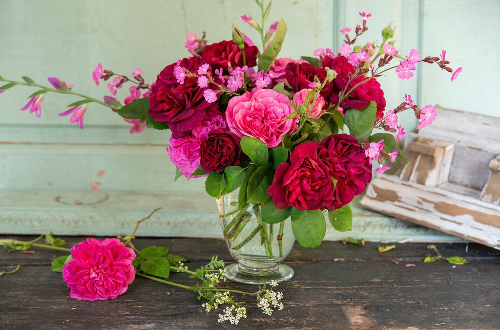 Flowers from the Garden